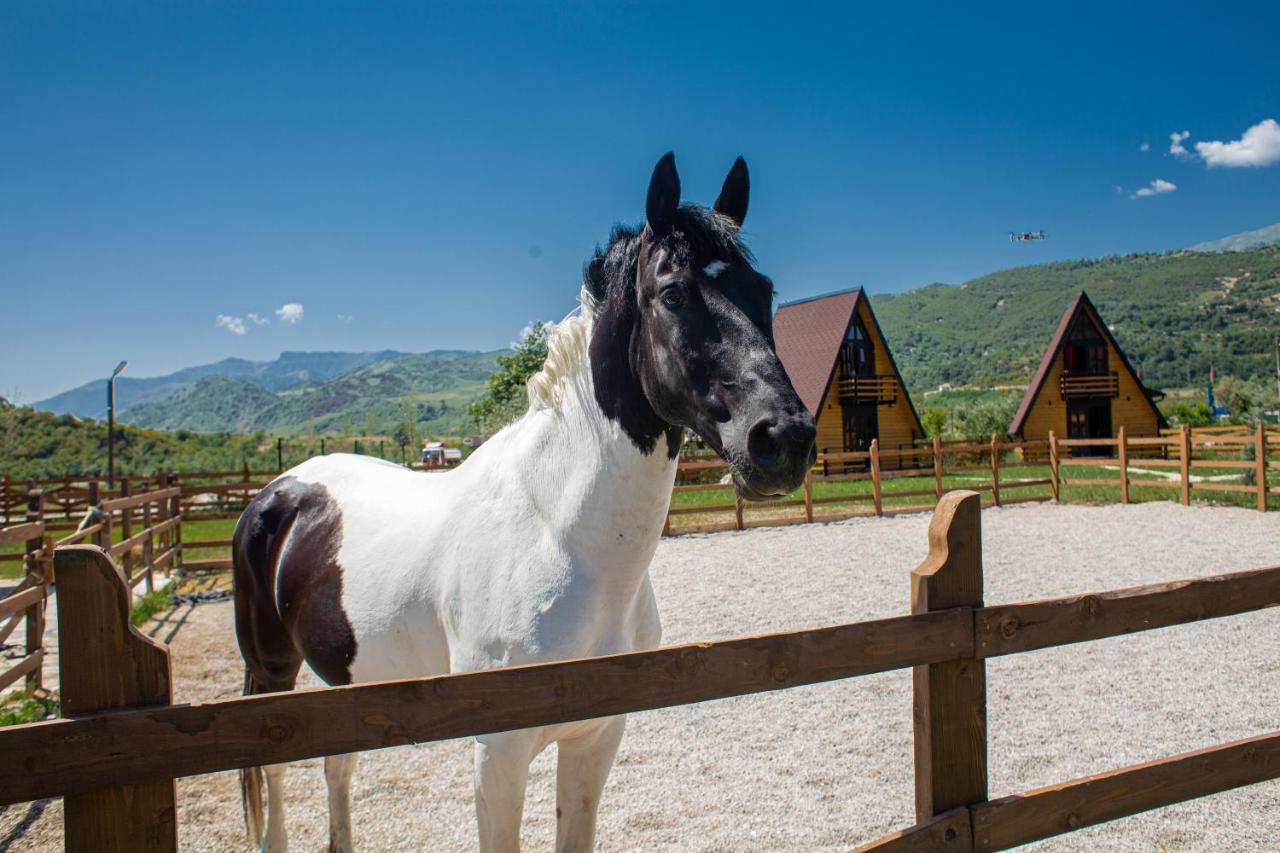 Sancho Farm Albania Villa Memaliaj ภายนอก รูปภาพ