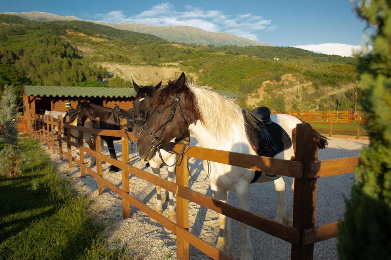 Sancho Farm Albania Villa Memaliaj ภายนอก รูปภาพ