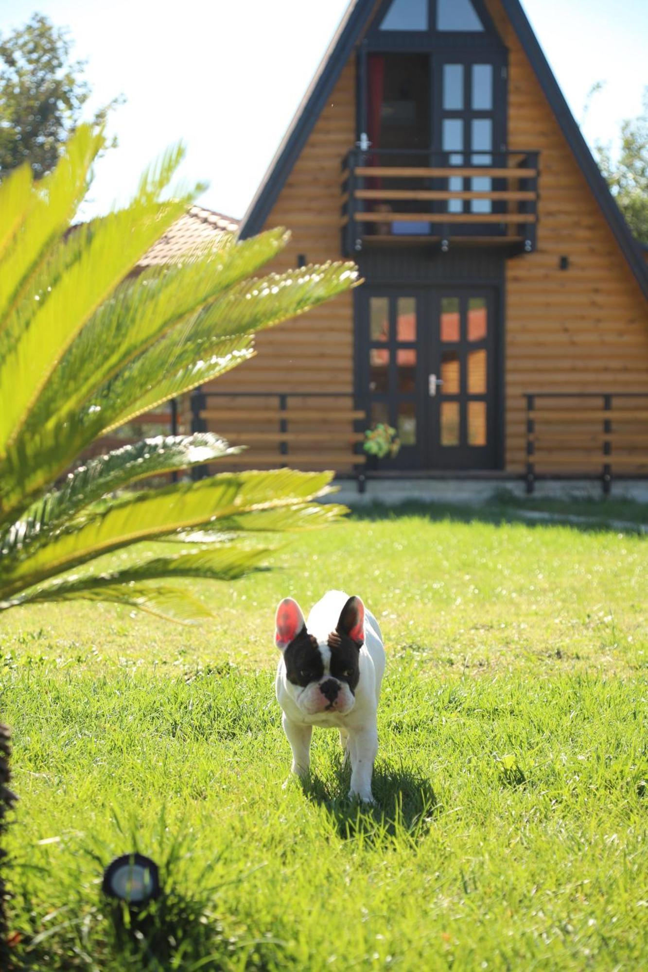 Sancho Farm Albania Villa Memaliaj ภายนอก รูปภาพ