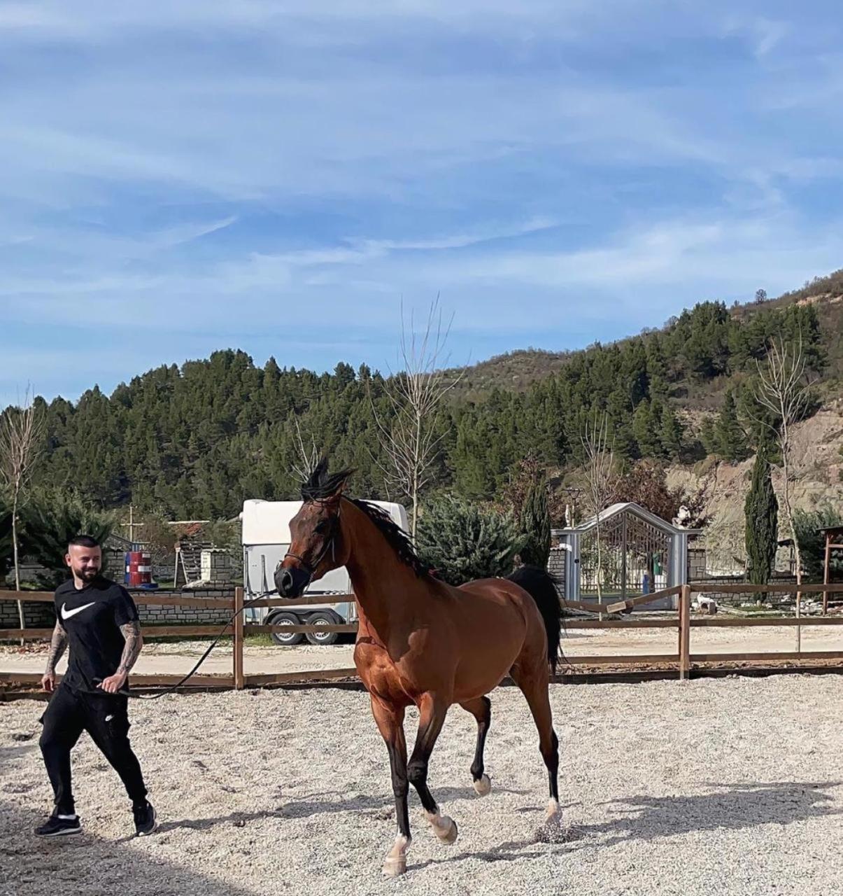 Sancho Farm Albania Villa Memaliaj ภายนอก รูปภาพ
