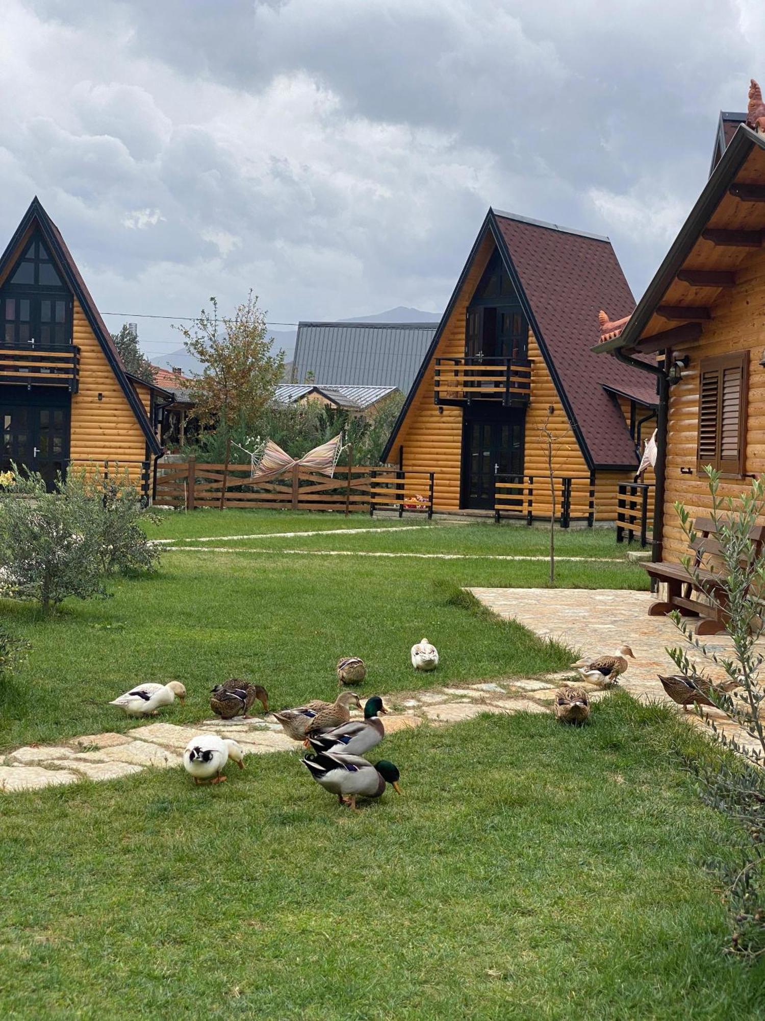 Sancho Farm Albania Villa Memaliaj ภายนอก รูปภาพ