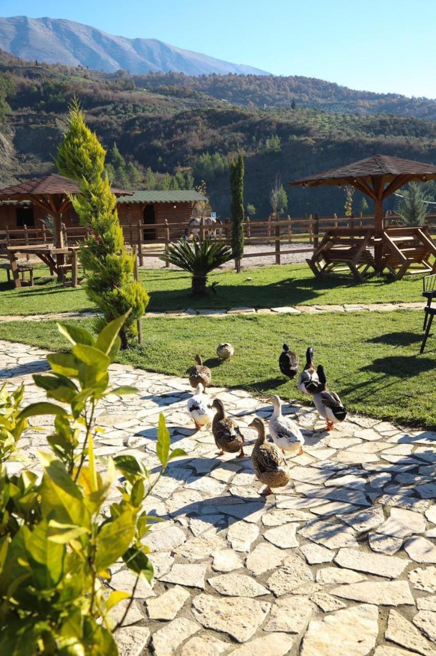 Sancho Farm Albania Villa Memaliaj ภายนอก รูปภาพ