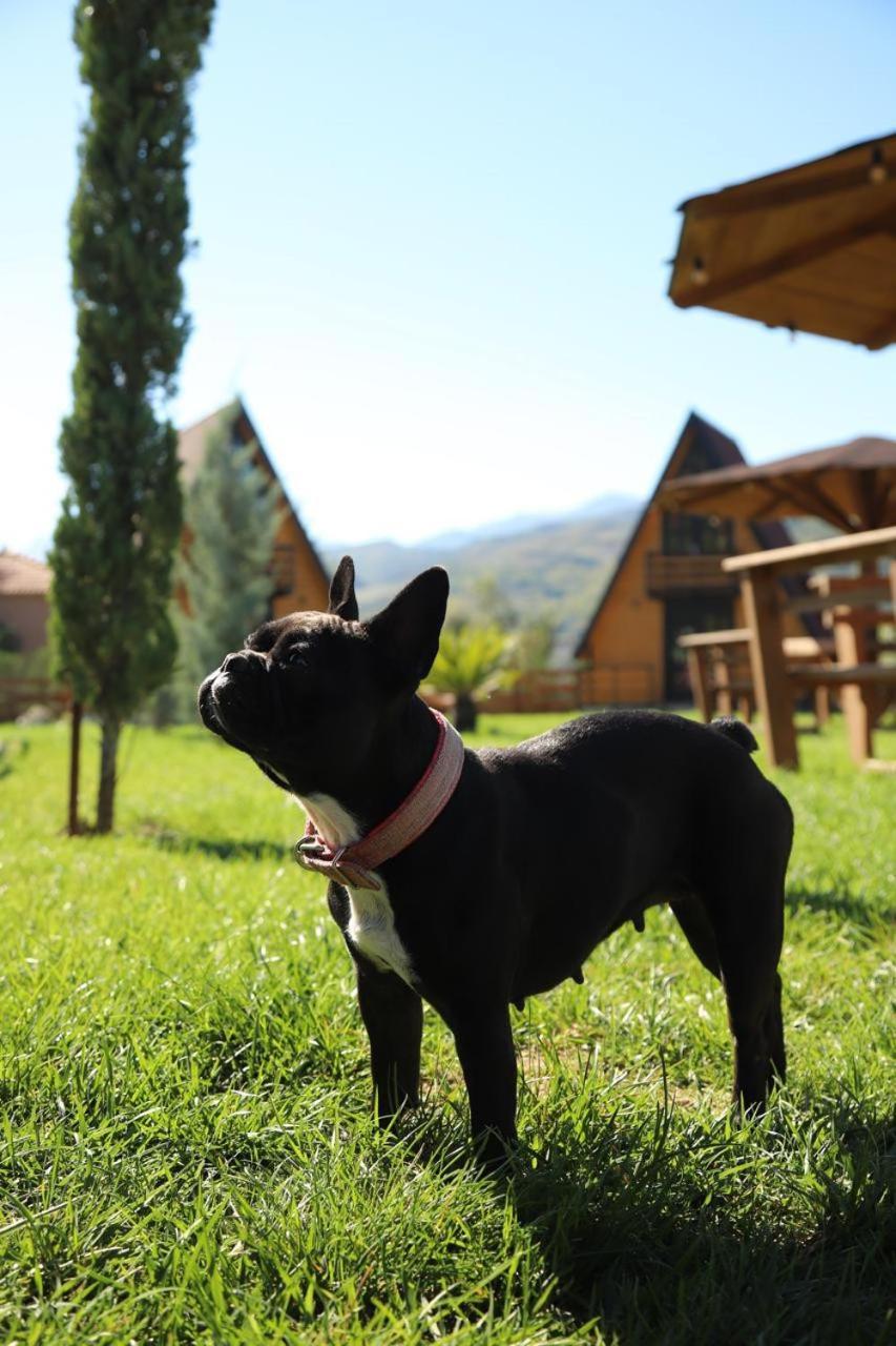 Sancho Farm Albania Villa Memaliaj ภายนอก รูปภาพ